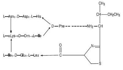 Structure Image 1 (Ak Poly Bac Ophth Oint Struct 1)